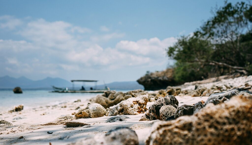 Bali beach with shells and rocks