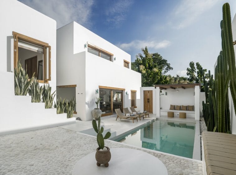 Outdoor area of a white private villa in Bingin with cactuses surrounding the pool