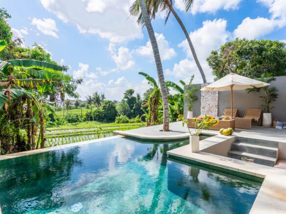 Villa Bayu Pool View - Pererenan villa